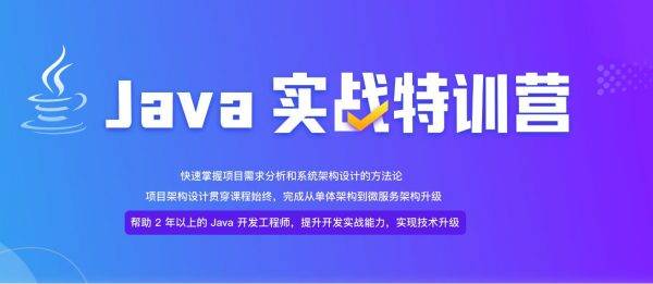 Java项目实战营第6期，Java进阶能力提升视频课程