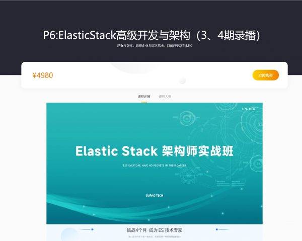 P6:ElasticStack高级开发与架构，Elastic Stack数据库视频教程+资料