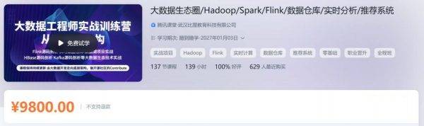 大数据工程师实战训练营 Hadoop/Spark/Flink/数仓等 视频+资料