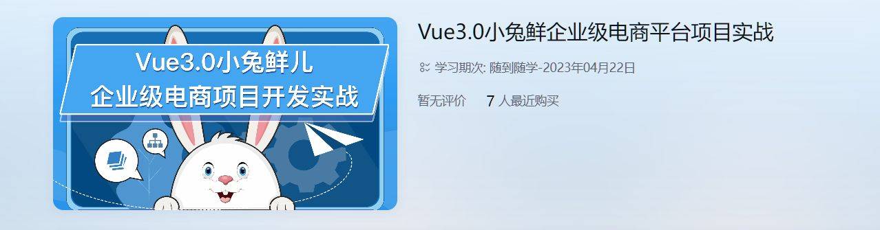 Vue3.0小兔鲜前端企业级电商项目实战插图