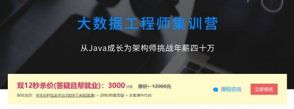 大数据工程师集训营，从Java成长为架构师挑战年薪四十万