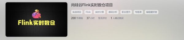 尚硅谷Flink实时数仓项目，实战视频+源码解析百度云